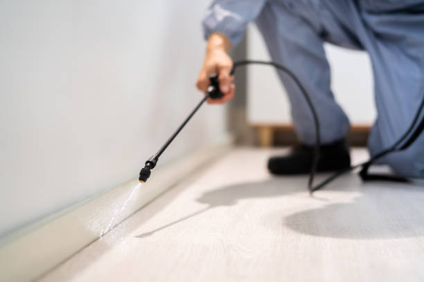 Licensed Cockroach Control service in Woodlake, VA - Nex Pest Control
