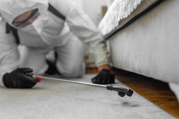 Professional Cockroach Control technician working in Woodlake, VA