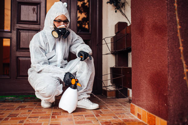 Reliable Cockroach Control contractor in Woodlake, VA by Nex Pest Control